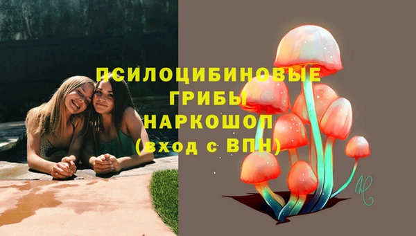 дурь Алексин