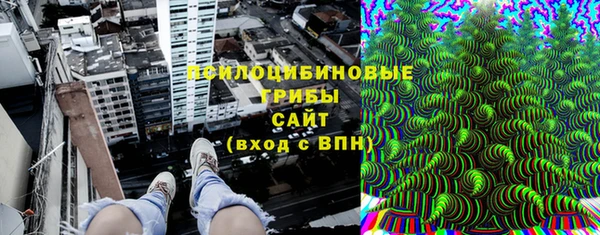 дурь Алексин